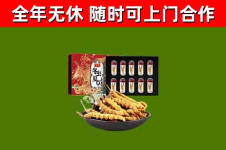通城回收冬虫夏草价格
